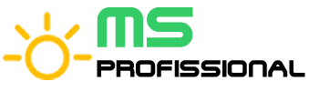 logo_proffisional